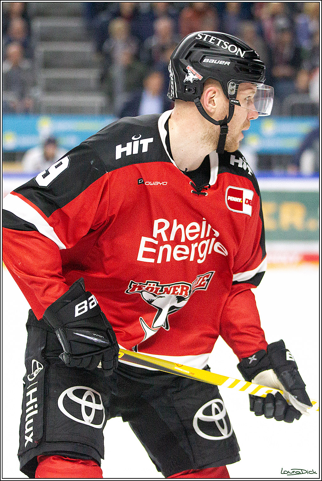 PENNY DEL;  Koelner Haie - Straubing Tigers; Koeln, 15.10.2021